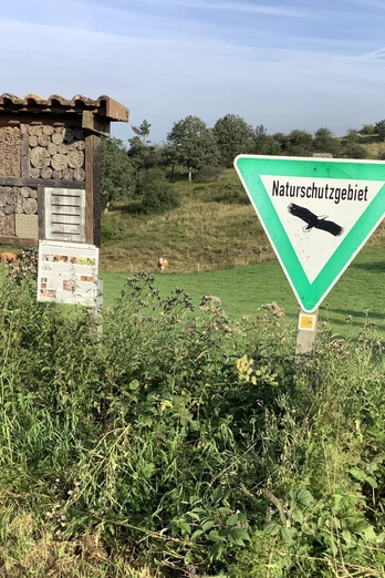 Insektenhotel im Naturschutzgebiet