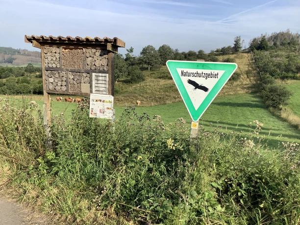 Insektenhotel im Naturschutzgebiet