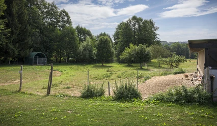 Biohof Kapplermühle, Bad Berleburg-Aue Biohof Kapplermühle
