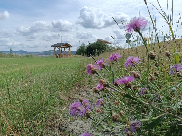 Raststation auf dem Radweg Die Holzmacherin