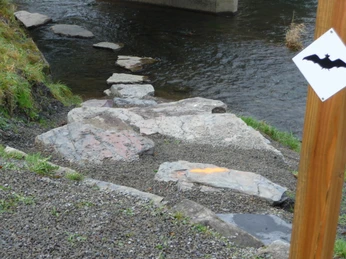 Trittsteine in die Eder