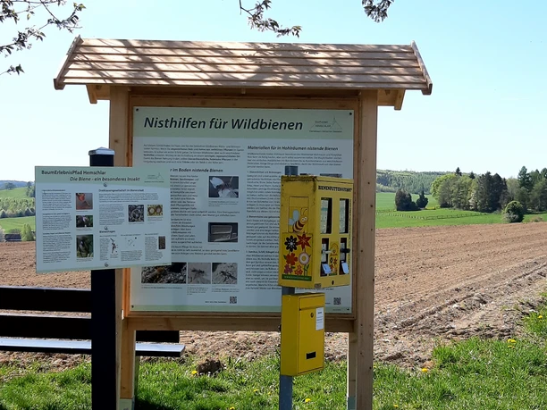 Insektenhotel und Infotafel am Baumerlebnispfad in Hemschlar