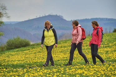 Premium-Wanderweg Bei de Hullerkeppe