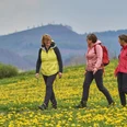 Premium-Wanderweg Bei de Hullerkeppe