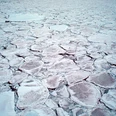 eisfeld_gruen Gefrorene Eisschollen bilden ein faszinierendes mosaikartiges Muster.Frozen ice floes form a fascinating mosaic-like pattern.