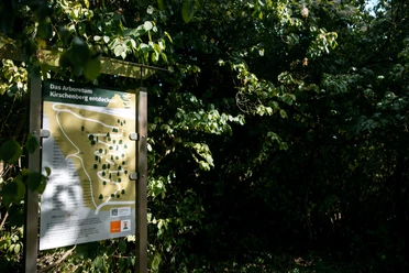 Infotafel am Kirschenberg Infotafel vor dichten Bäumen zum Naturgebiet am Kirschenberg in Einbeck