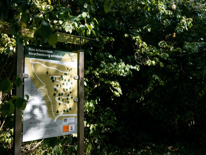Infotafel am Kirschenberg Infotafel vor dichten Bäumen zum Naturgebiet am Kirschenberg in Einbeck