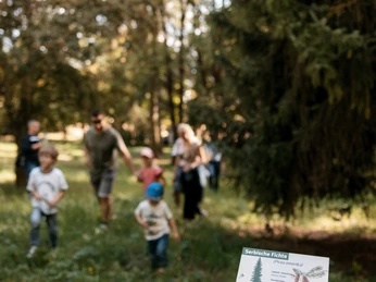 Erholung am Kirschenberg Eine Gruppe genießt die Natur am Kirschenerg