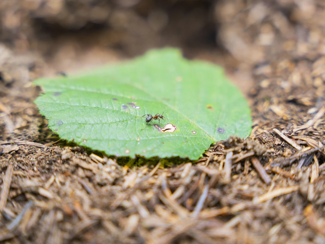 © Entlebucher Medienhaus AG