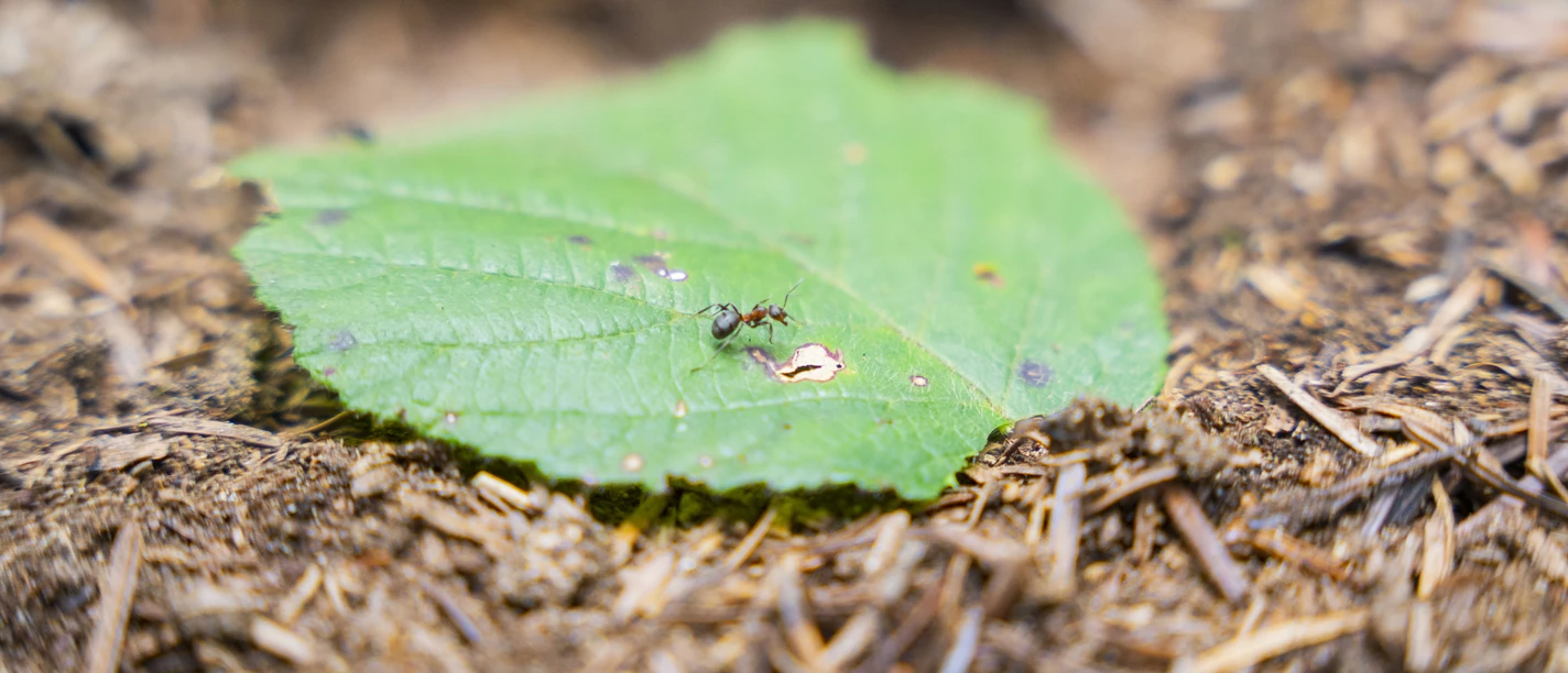 © Entlebucher Medienhaus AG