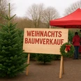 Weihnachtsbaumverkauf