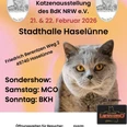 IMG-20250926-WA0016.jpg Werbeplakat zur internationalen Katzenausstellung in der Stadthalle Haselünne mit grauer Katze.