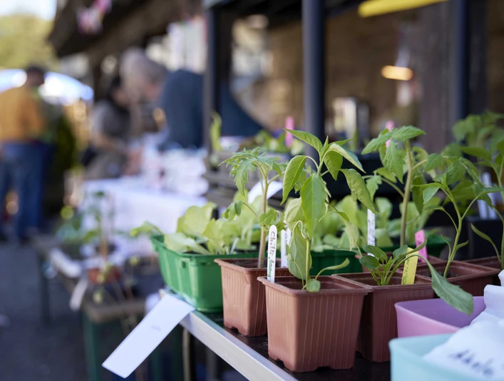 Wasserschloss_Wülmersen_Genuss_u_Pflanzenmarkt_Foto_Nicolas_Wefers_098
