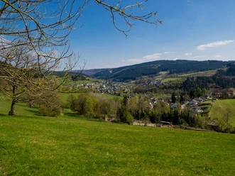 Blick auf Fleckenberg