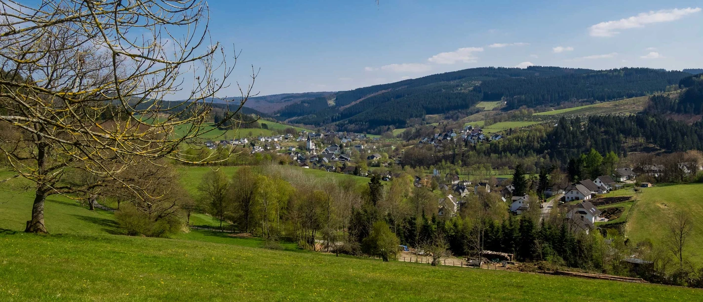 Blick auf Fleckenberg