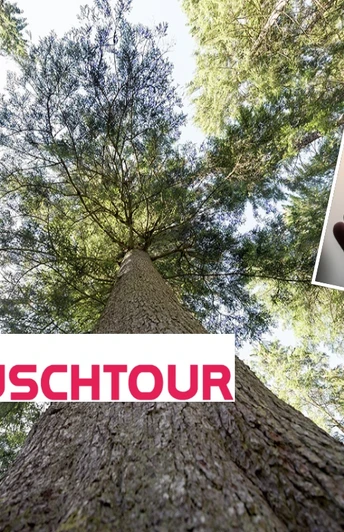 Lauschtour - die neue Smartphone-App