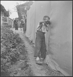 PS_T032.01NEN043.jpg