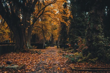 Herbststimmung auf dem Nordfriedhof