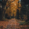 Herbststimmung auf dem Nordfriedhof