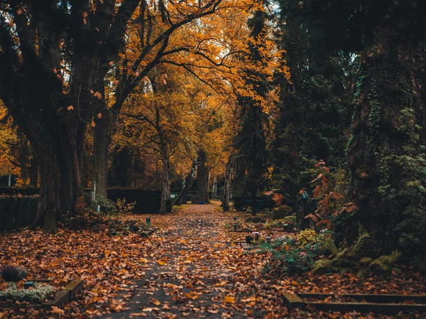Herbststimmung auf dem Nordfriedhof