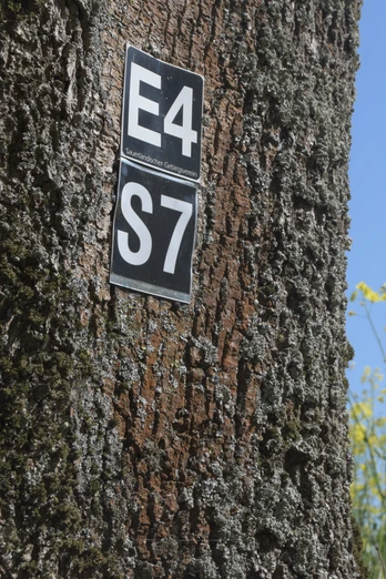 Wegmarkierung S7 | Büren-Steinhausen