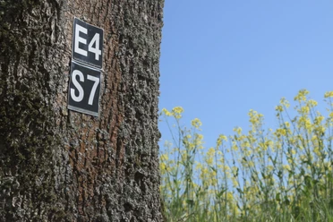 Wegmarkierung S7 | Büren-Steinhausen Wegmarkierung S7 | Büren-Steinhausen