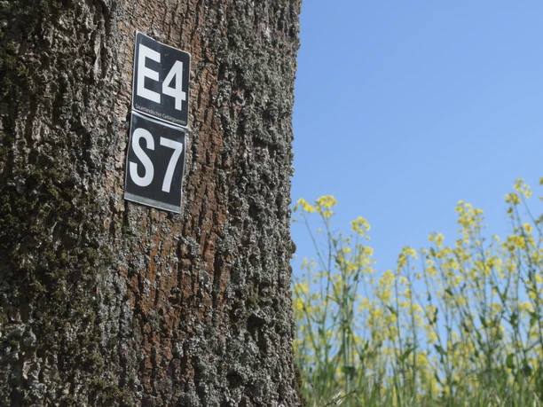 Wegmarkierung S7 | Büren-Steinhausen Wegmarkierung S7 | Büren-Steinhausen