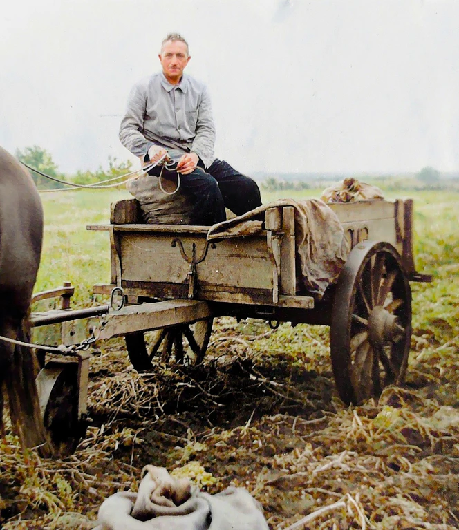 03 Bauer Albers....jpg