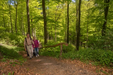 Wandern im Sorpetal Wandern im Schmallenberger Sauerland