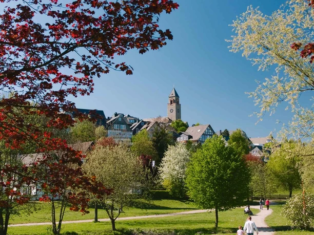 Lennepark in Schmallenberg