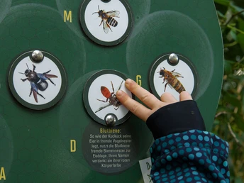 Bienenlehrpfad Eitorf