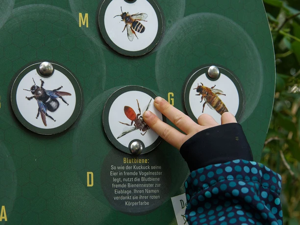 Bienenlehrpfad Eitorf