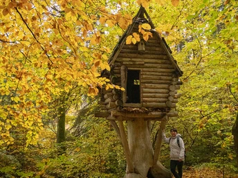 Hexenhäusel im Wald