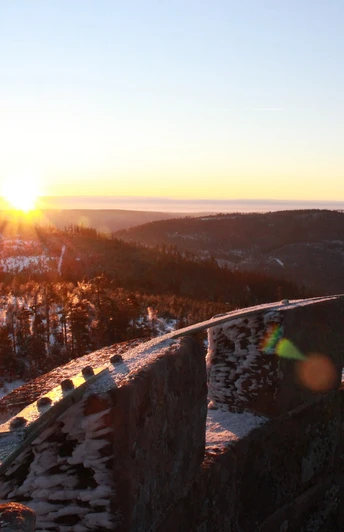 Sonnenaufgang auf der Badner Höhe