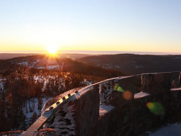 Sonnenaufgang auf der Badner Höhe