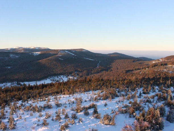 Badner Höhe Ausblick