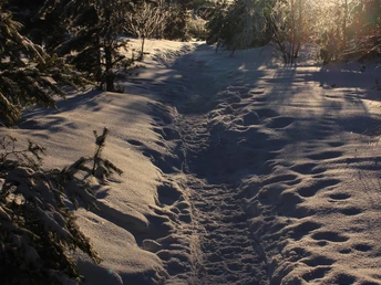 Wanderweg im Winter