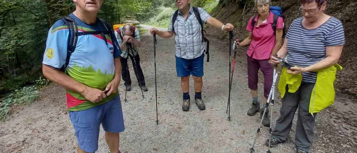 Wanderer auf Waldweg