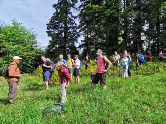 Wandergruppe im Grünen