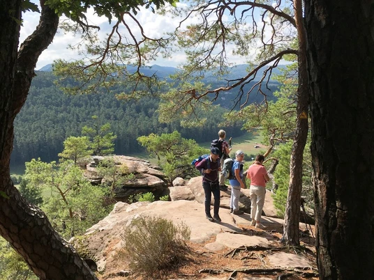 Wandergruppe auf Felsen