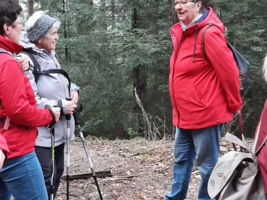 Wandergruppe im Wald