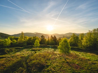 Sommerlandschaft auf der Schwalenburg Sommerlandschaft auf der Schwalenburg