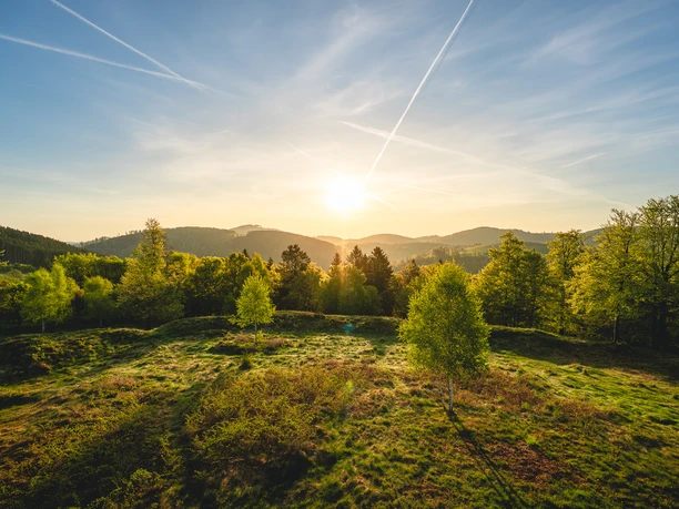 Sommerlandschaft auf der Schwalenburg Sommerlandschaft auf der Schwalenburg