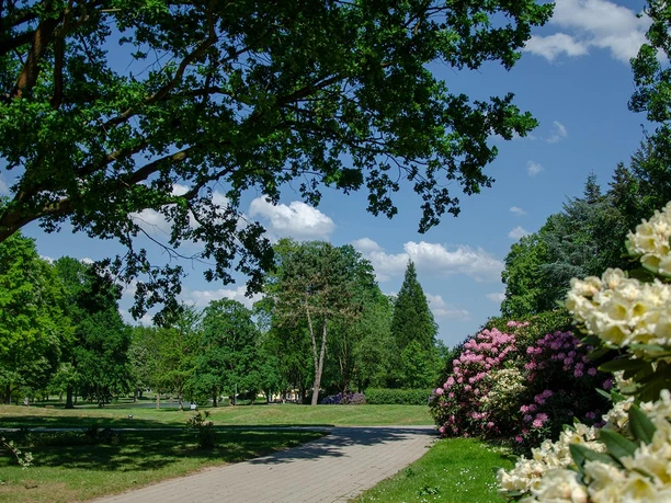 Kurpark