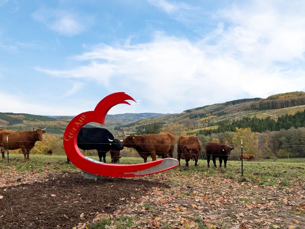 Fotospot Ahe Rote Skulptur mit 'Gut Ahe', Kühe, Hügel im Hintergrund.