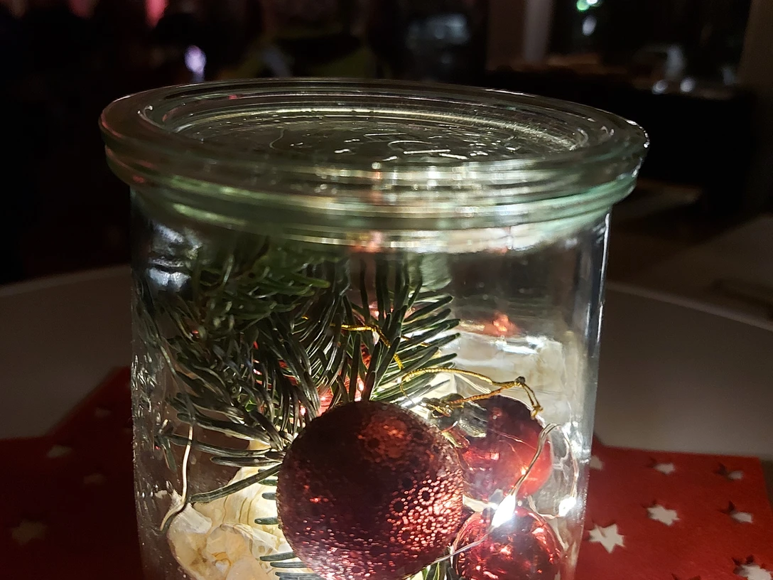 20241206_195225 Copyright Susan Sojak.jpg