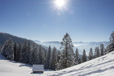 Hörnle im Februar
