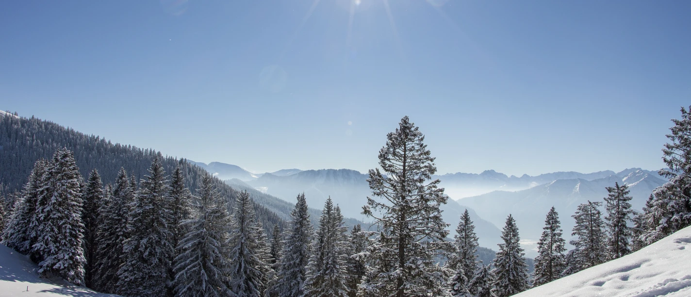 Hörnle im Februar