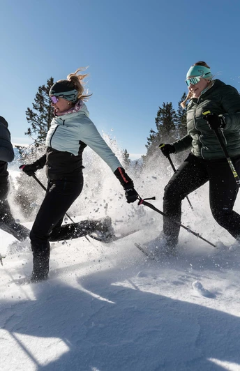 Schneeschuhwandern Hörnle Alm