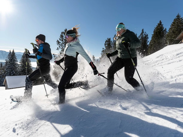 Schneeschuhwandern Hörnle Alm